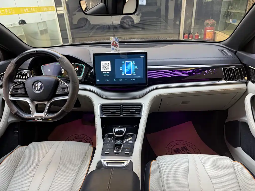 BYD PLUS New Energy — миниатюра 10