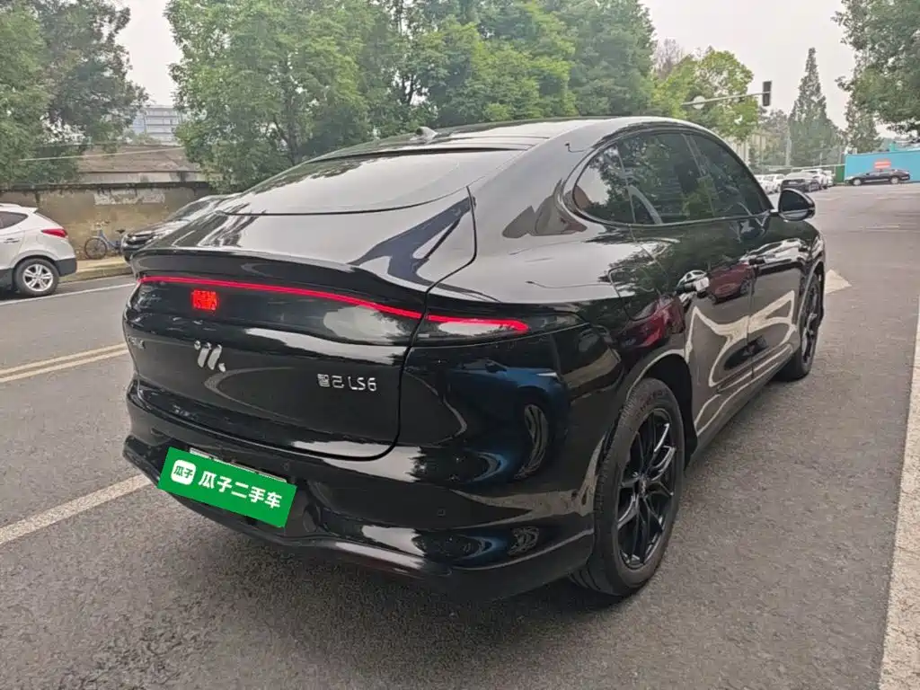 IM IM LS6 — миниатюра 7