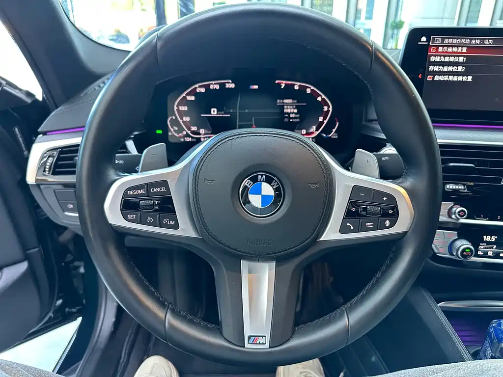 BMW 5 Series (Import) — миниатюра 10