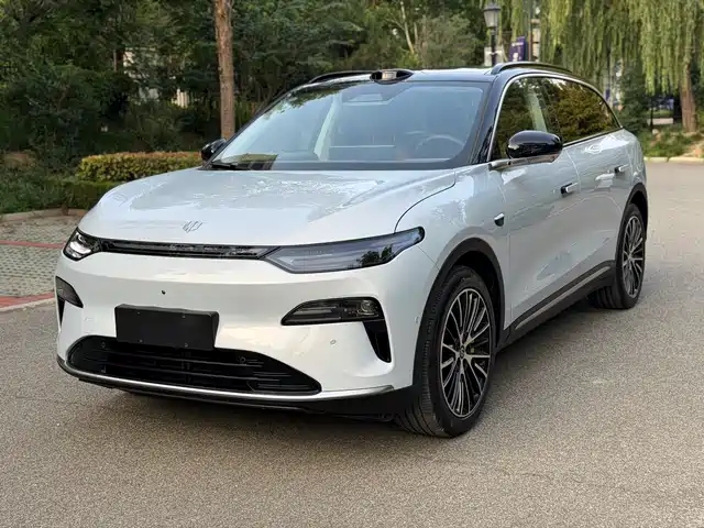 2025 Leapmotor C11