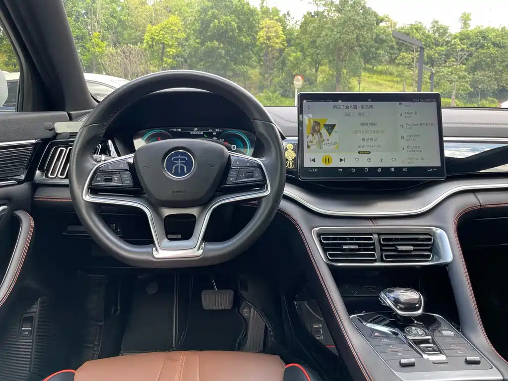 BYD PLUS — миниатюра 15