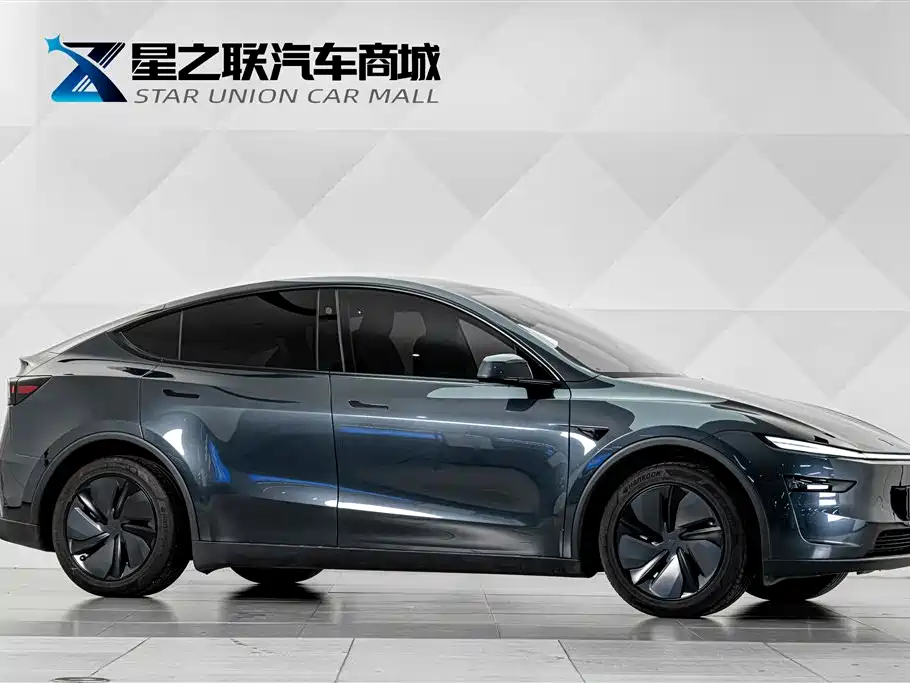 Tesla Model Y — миниатюра 5