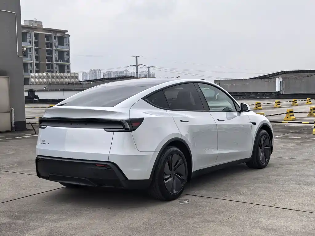 Tesla Model Y — миниатюра 6