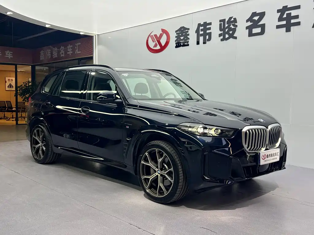BMW X5 — миниатюра 4