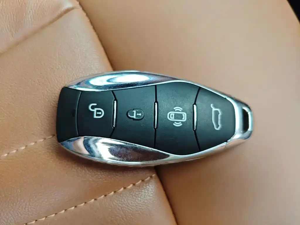 Hongqi Hongqi HQ9 — миниатюра 9