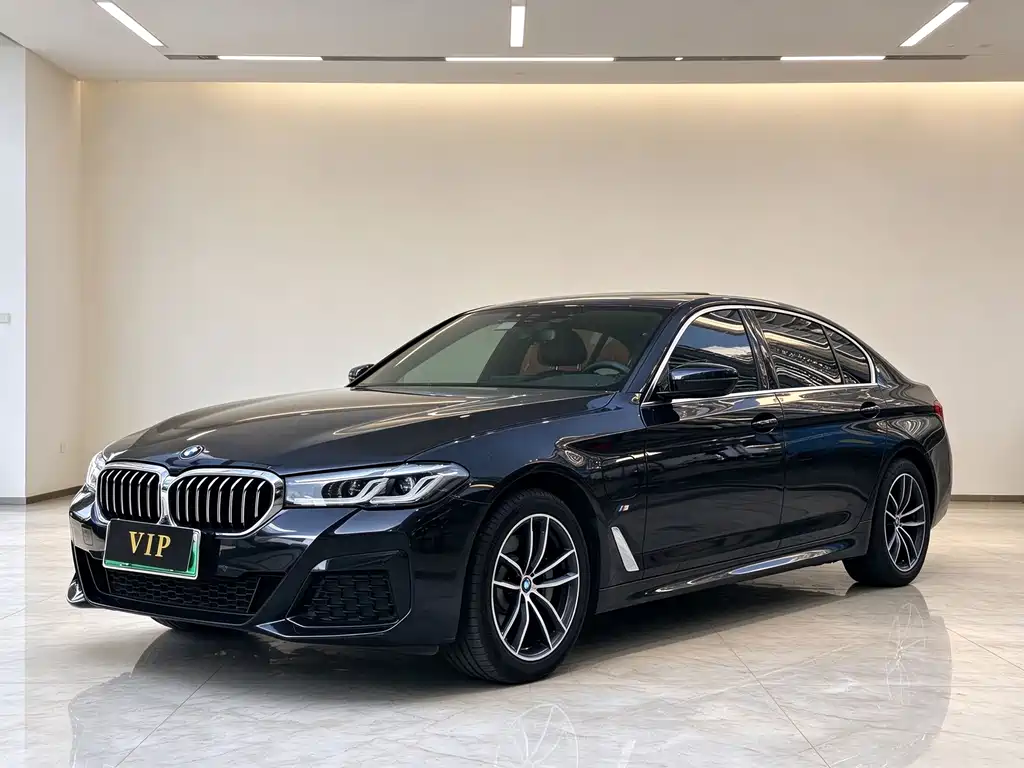 BMW 5 Series New Energy