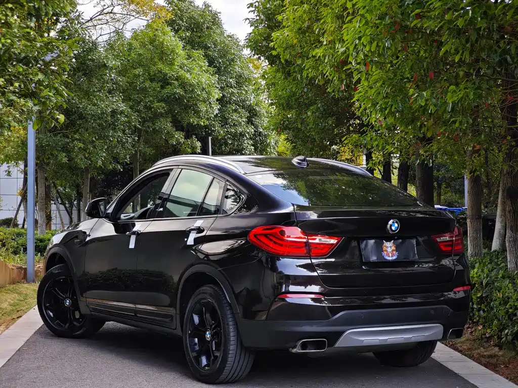 BMW X4 — миниатюра 4