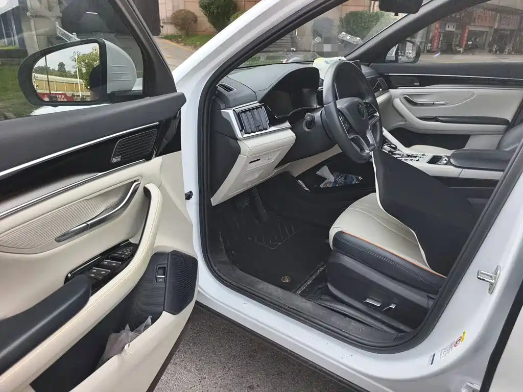 BYD PLUS New Energy — миниатюра 17