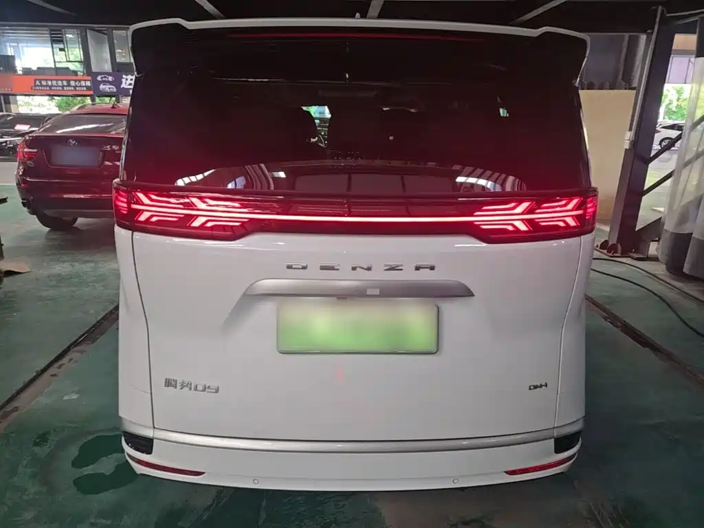 Denza Denza D9 — миниатюра 5