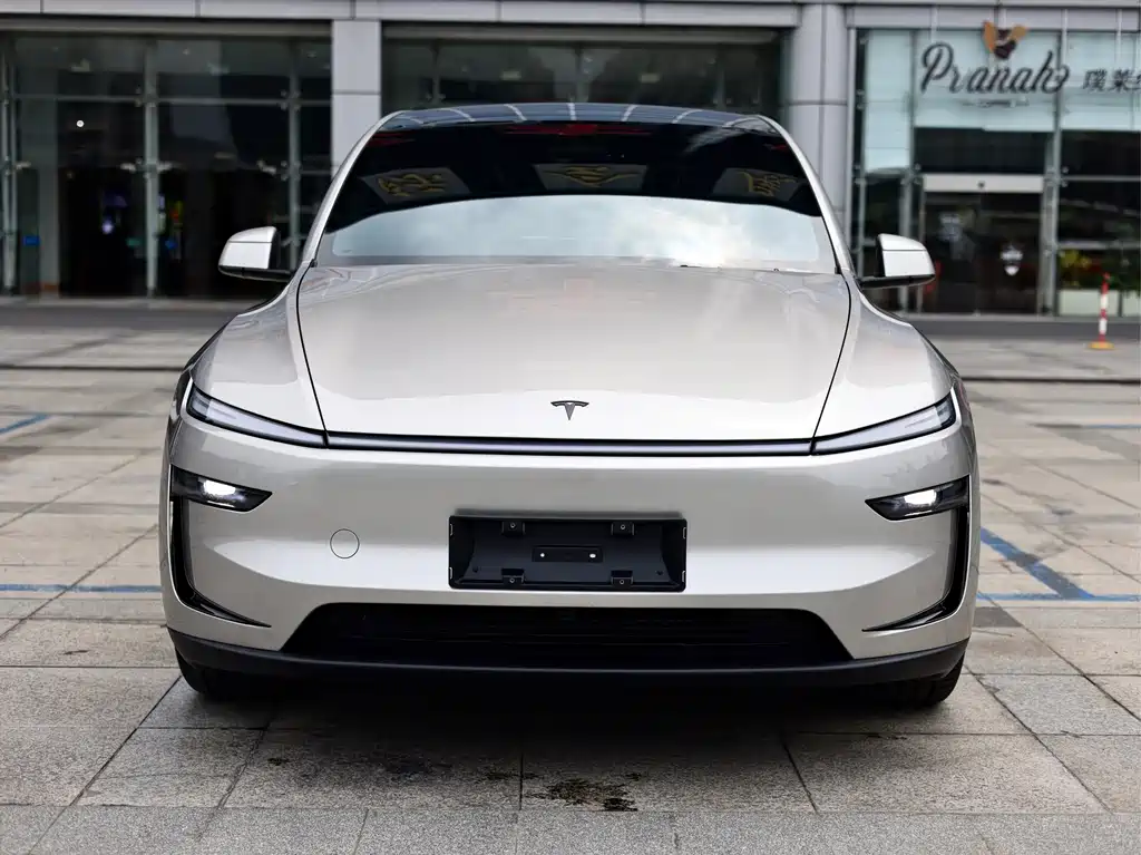 Tesla Model Y L — миниатюра 2