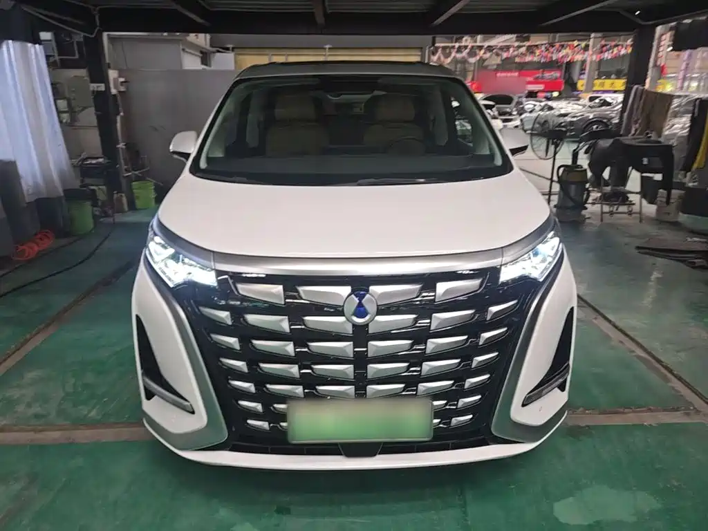 Denza Denza D9 — миниатюра 3