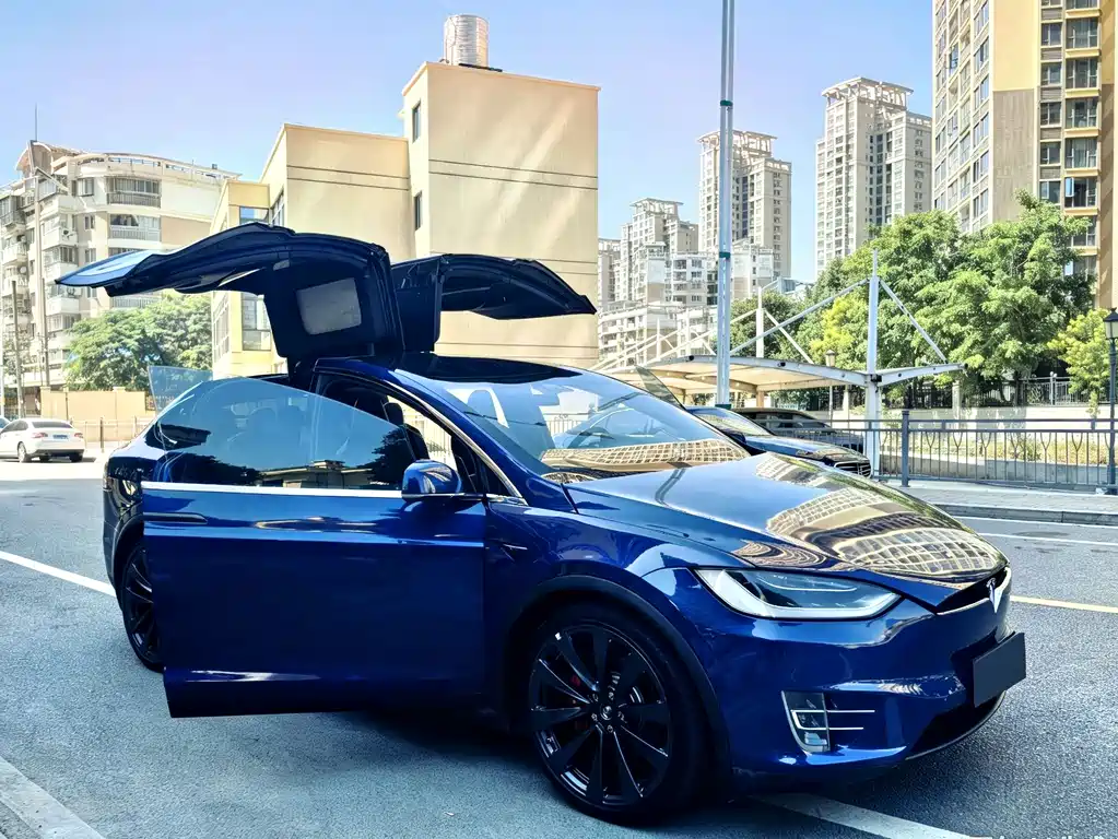 Tesla Model X — миниатюра 4