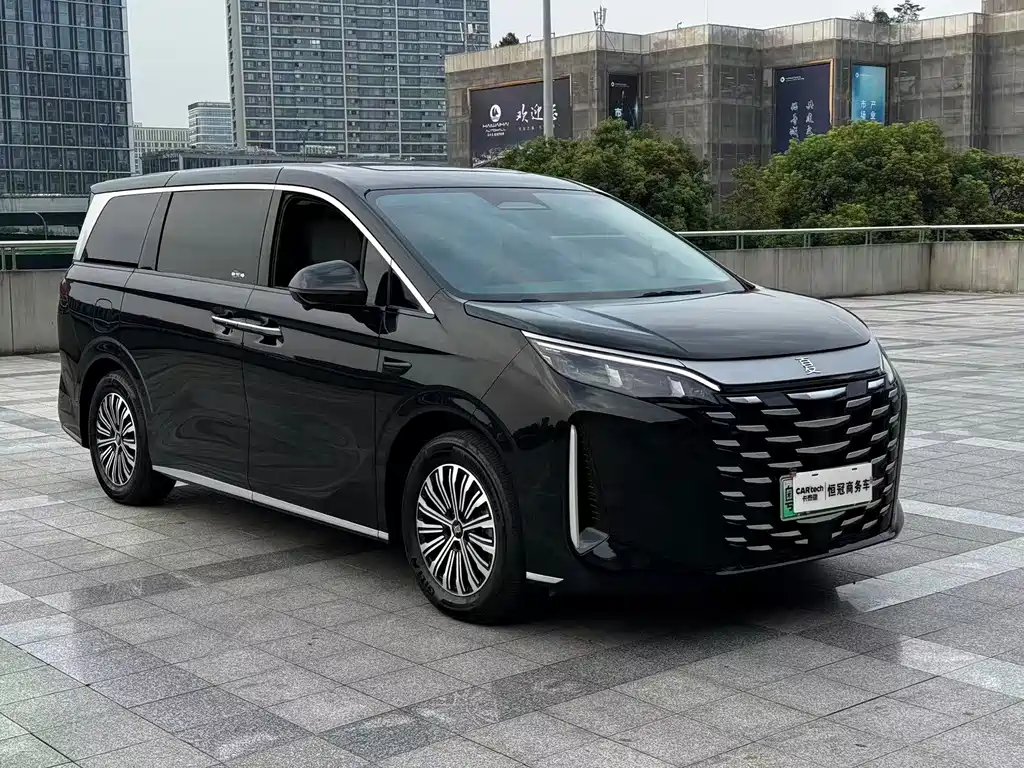 BYD Xia — миниатюра 3