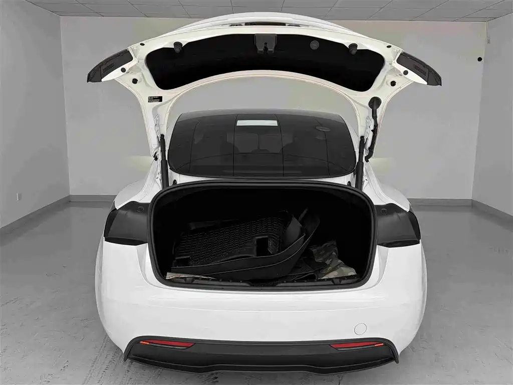 Tesla Model 3 — миниатюра 16