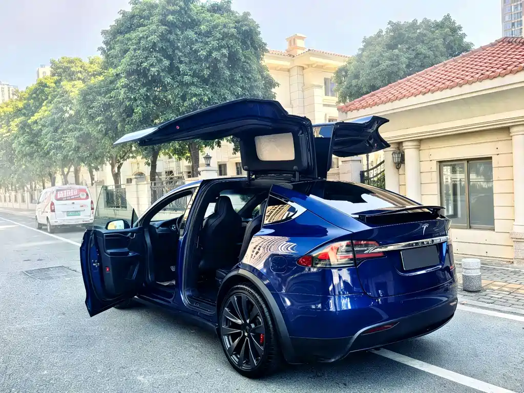 Tesla Model X — миниатюра 6