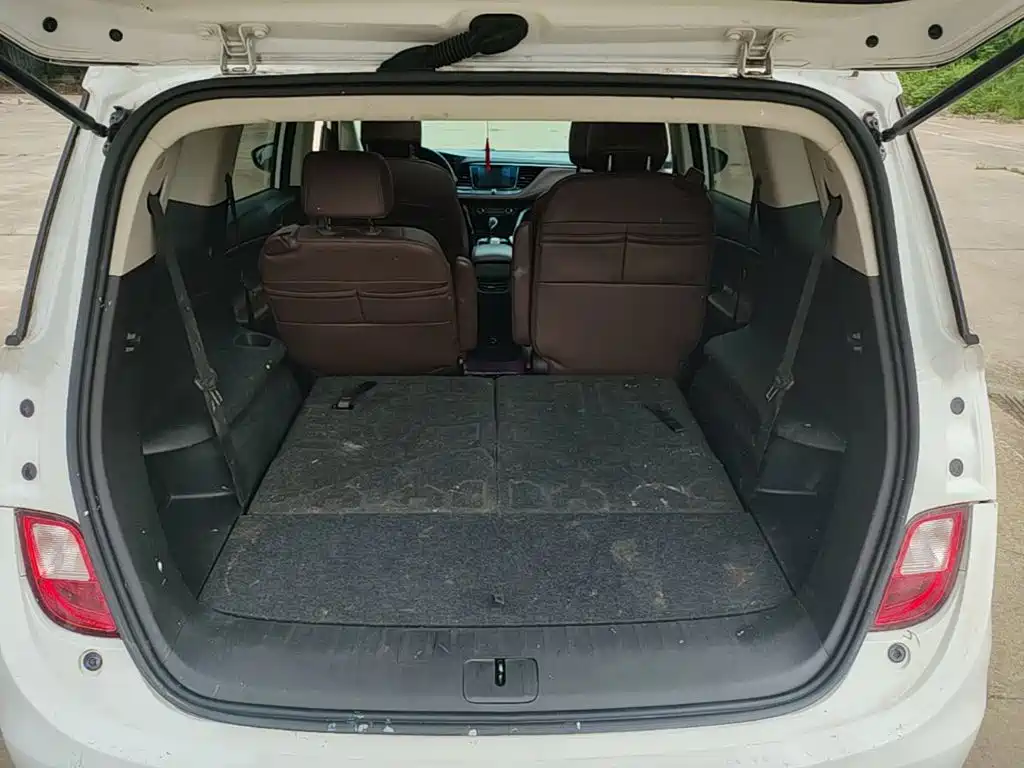 Buick GL6 — миниатюра 19