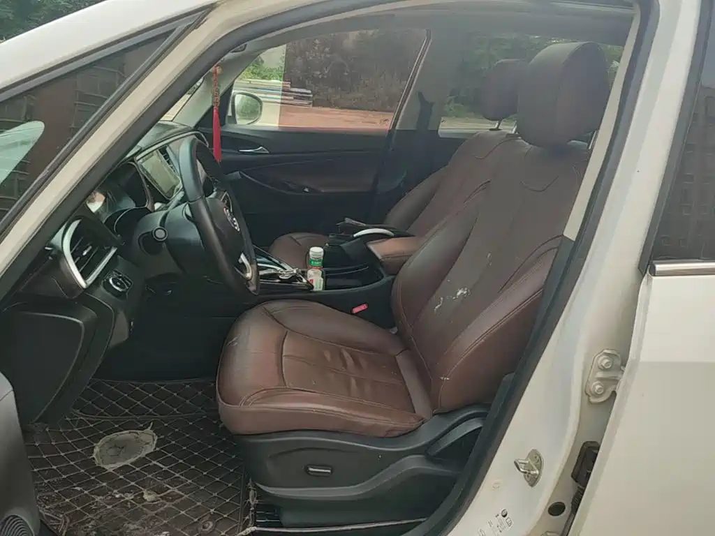 Buick GL6 — миниатюра 15