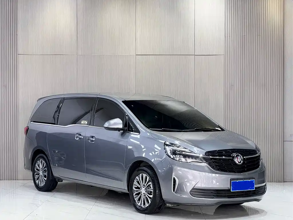 Buick GL8 — миниатюра 3