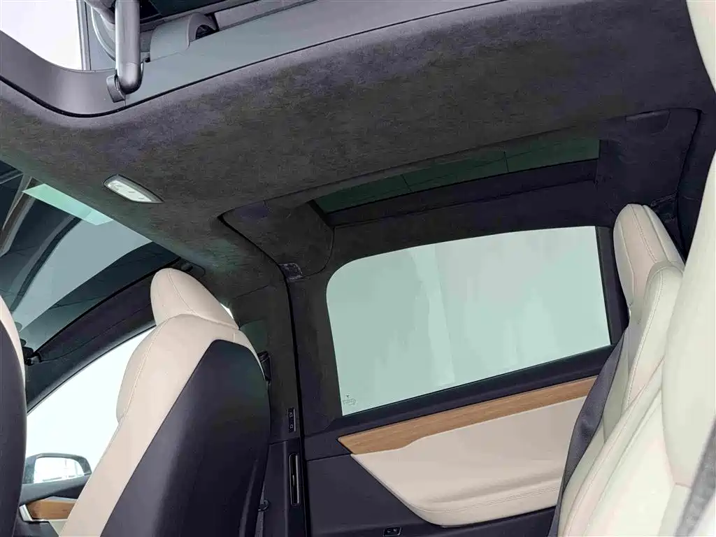 Tesla Model X — миниатюра 6