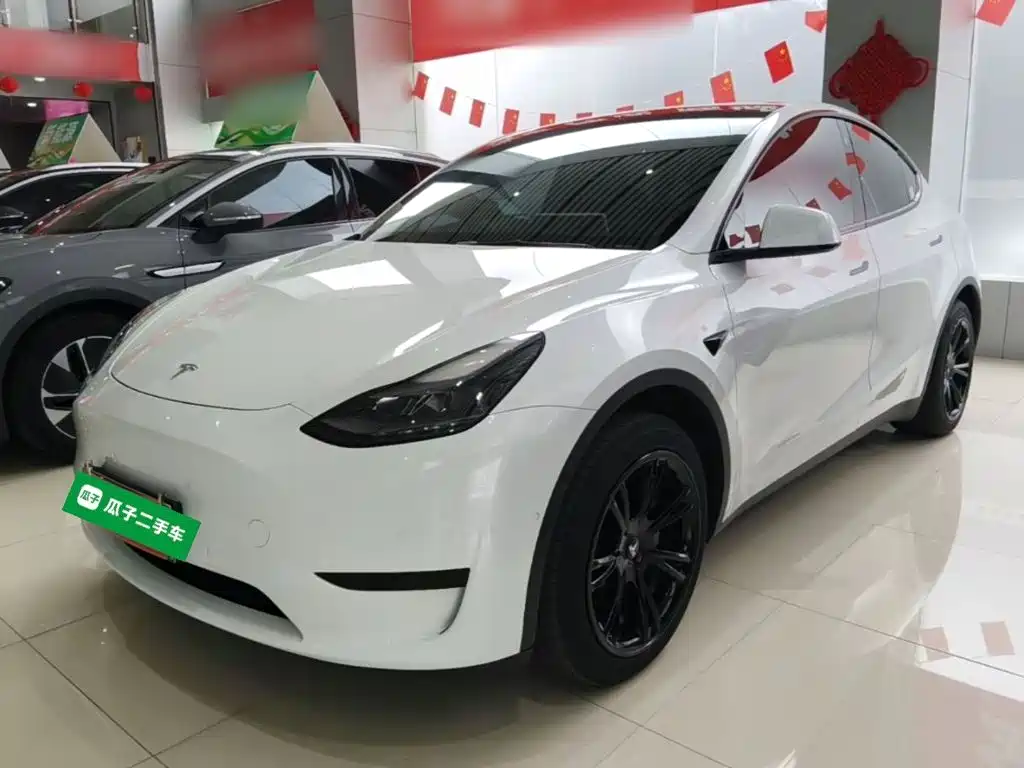 Tesla Model Y — миниатюра 2