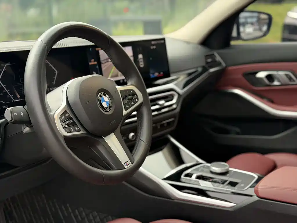 BMW 3 Series 320Li M Sport Package, фото 6