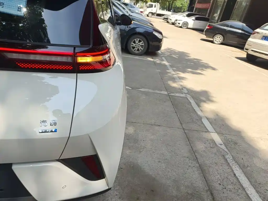 BYD Seagull 2025 Smart Drive 305km Freedom