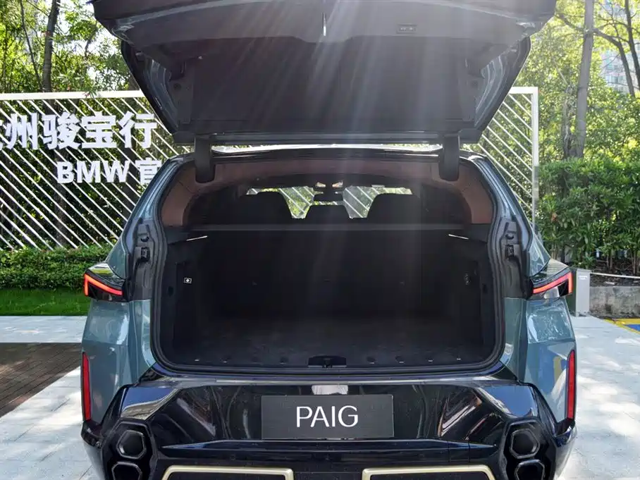 BMW XM