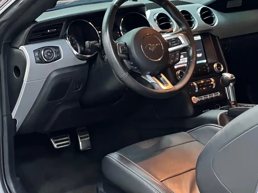 Ford Mustang — миниатюра 4