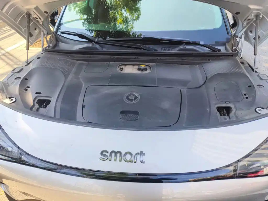 smart Smart #1 — миниатюра 11