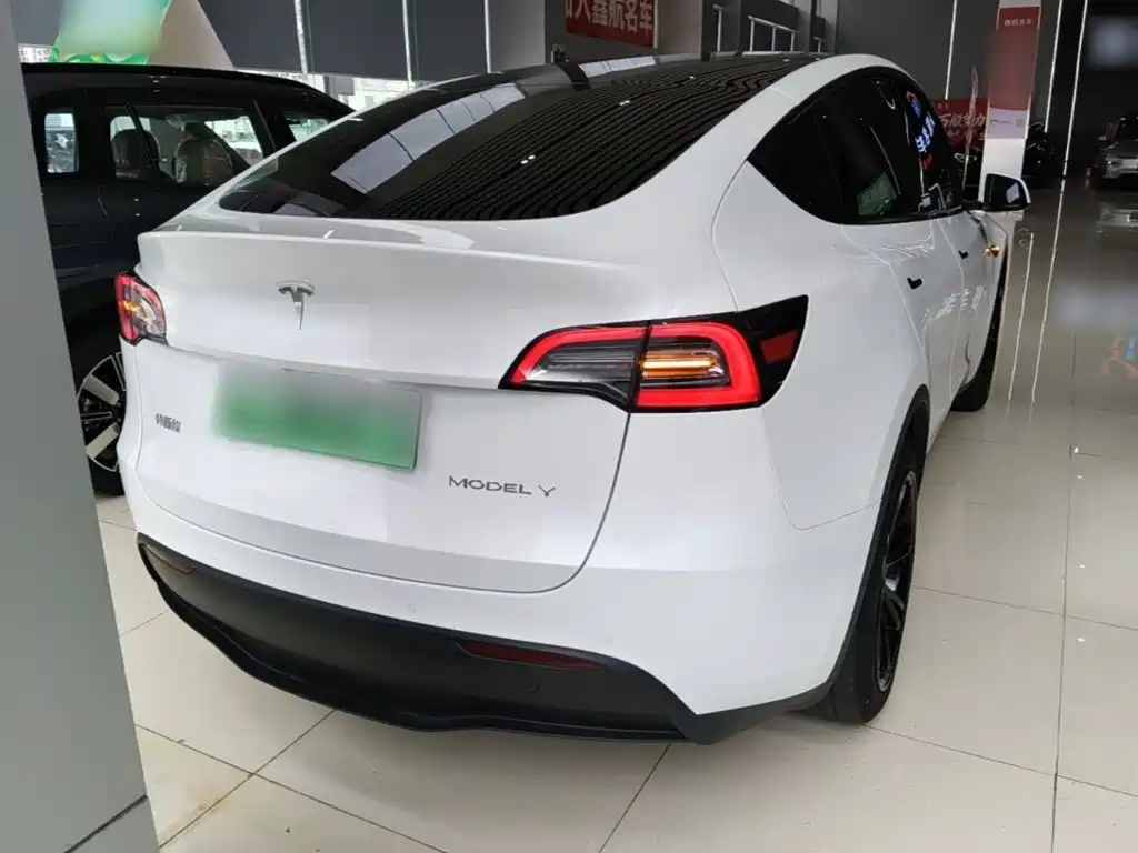 Tesla Model Y — миниатюра 6