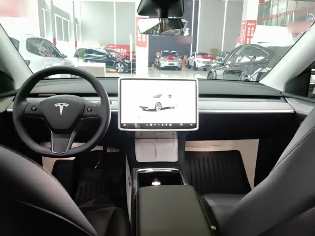 Tesla Model Y — миниатюра 10