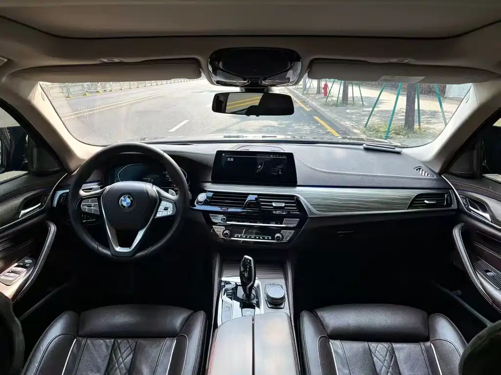 BMW 5 Series 5 2020 530Li Premium Luxury