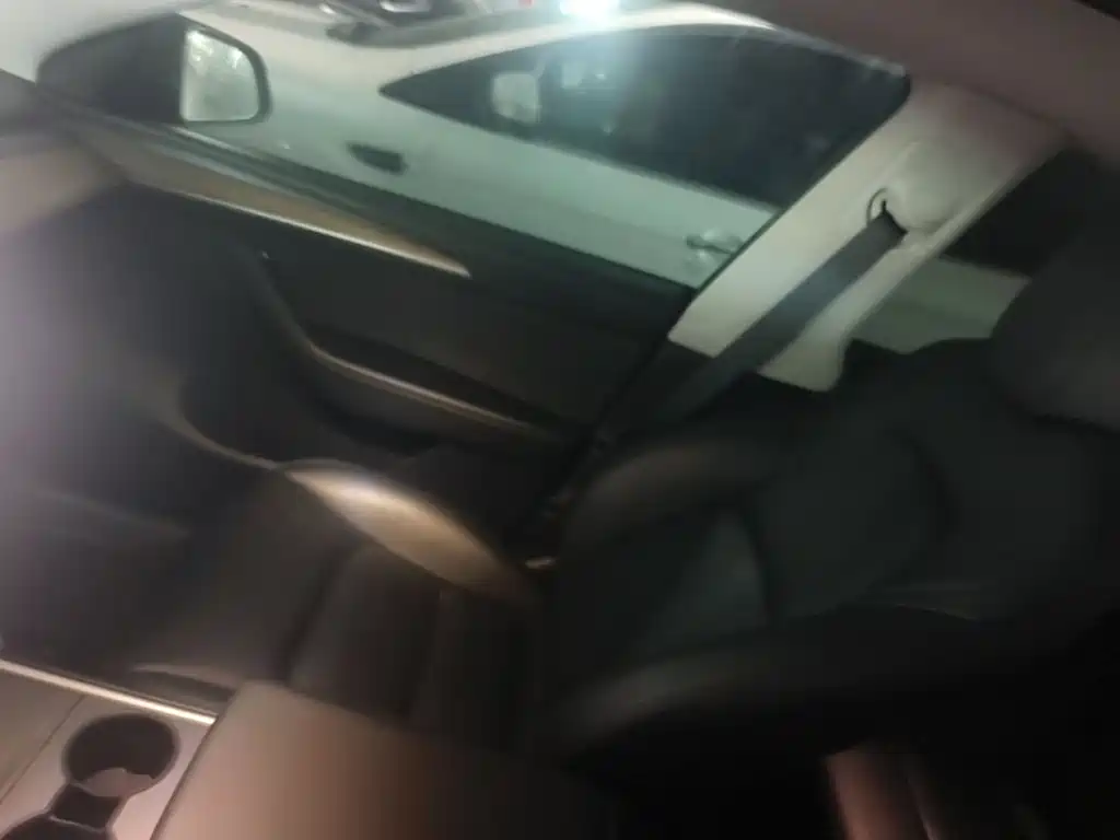 Tesla Model Y — миниатюра 18