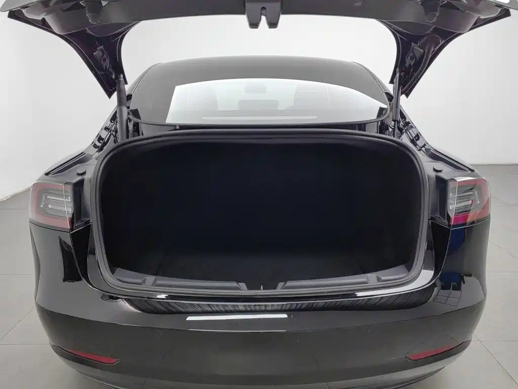Tesla Model 3 — миниатюра 16