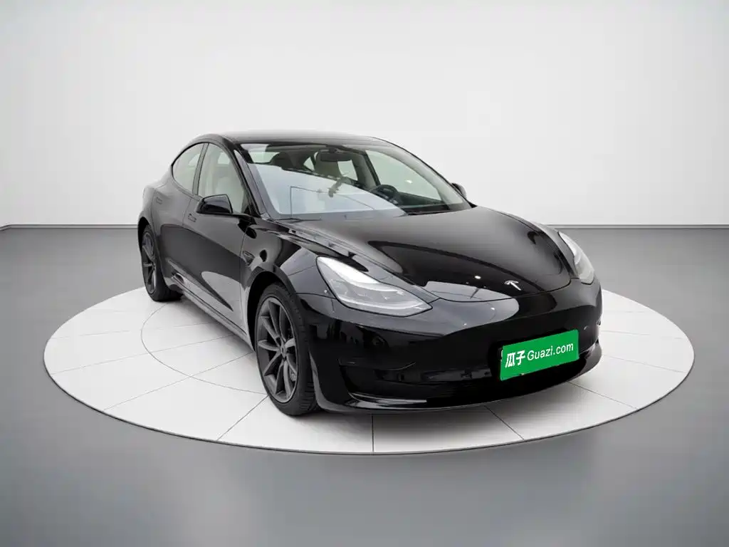 Tesla Model 3 — миниатюра 3