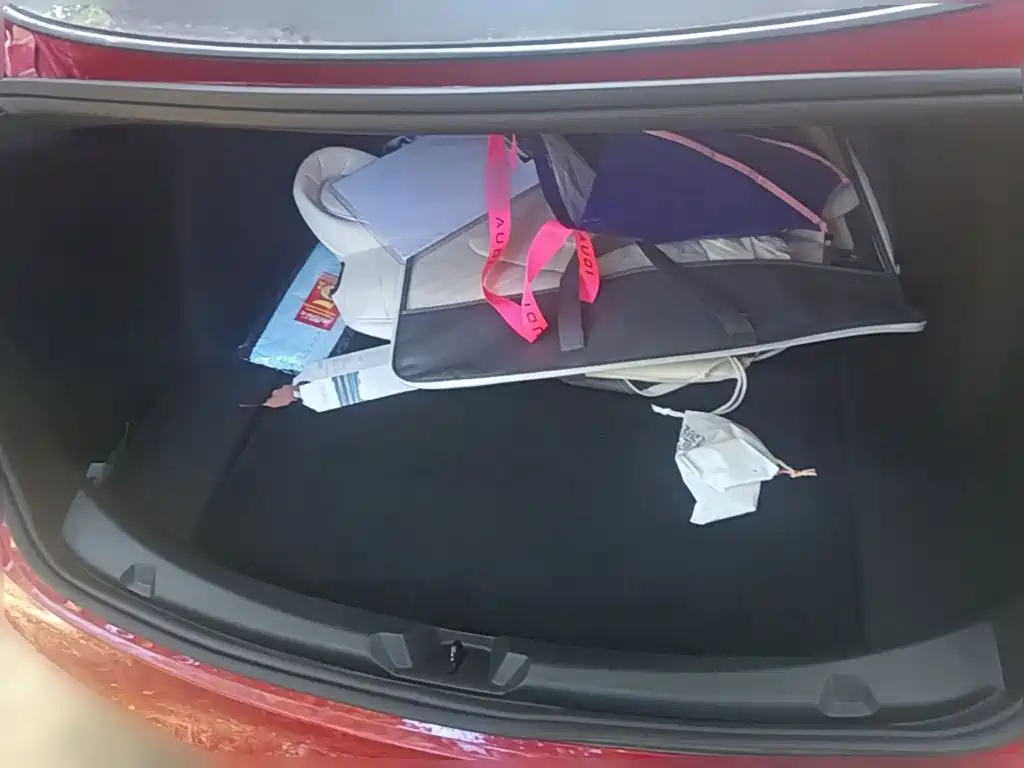 Tesla Model 3 — миниатюра 24