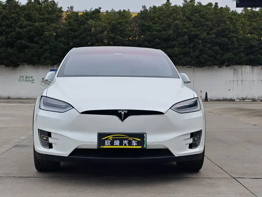 Tesla Model X — миниатюра 2