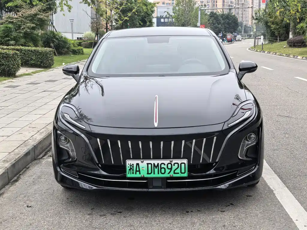 Hongqi Hongqi E-QM5 — миниатюра 2