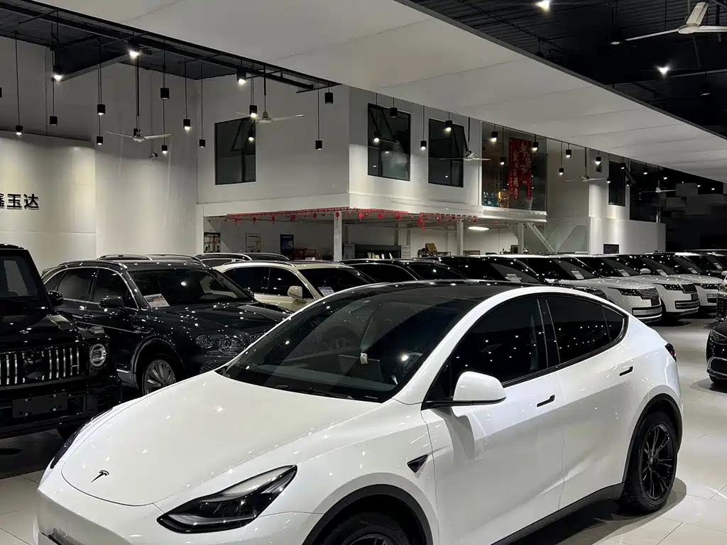 Tesla Model Y 2021