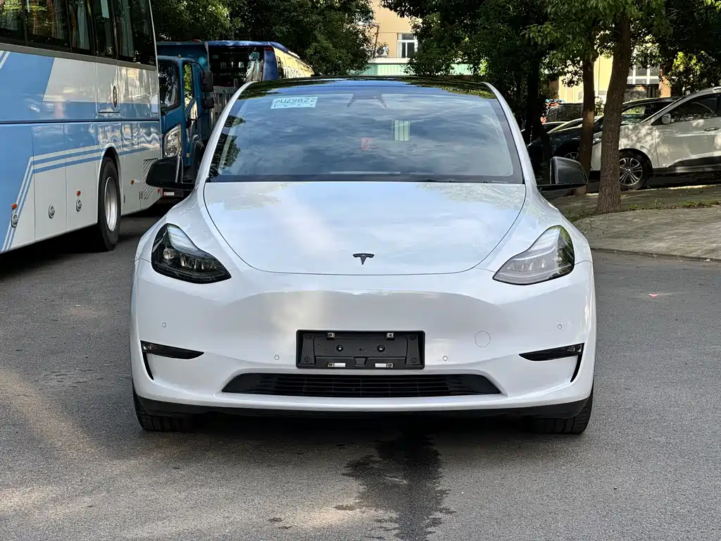 Tesla Model Y — миниатюра 2
