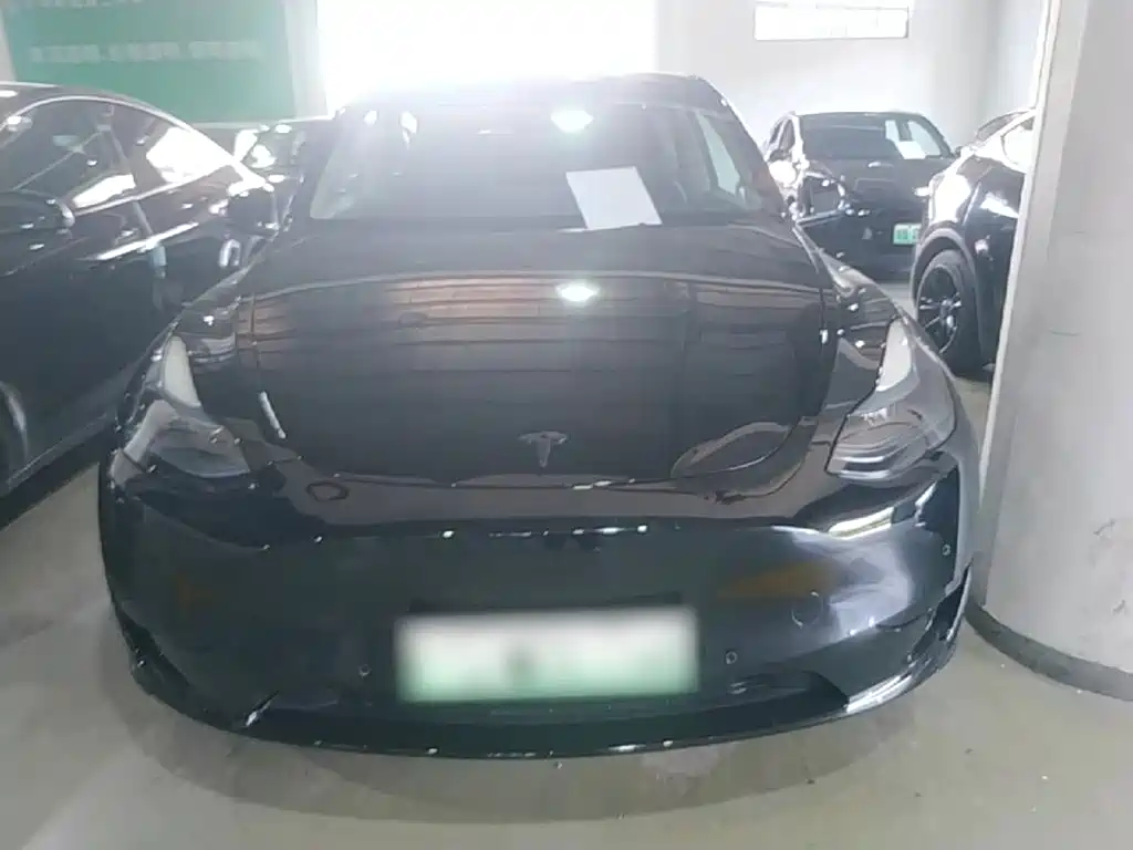 Tesla Model Y — миниатюра 3