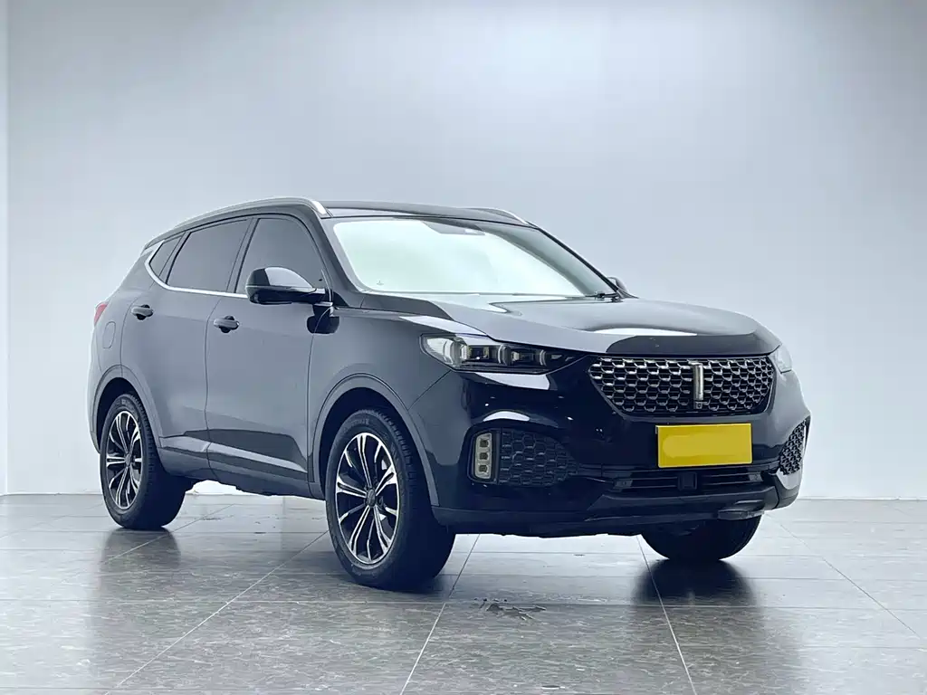 WEI PAI WEI BRAND VV6