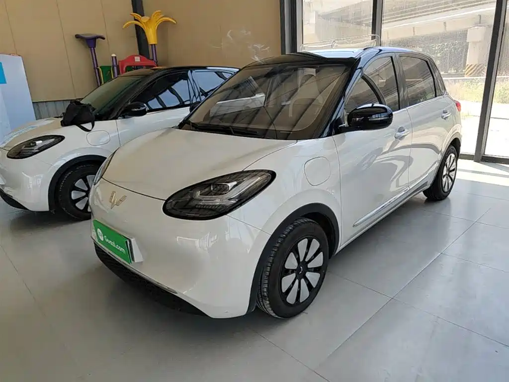 Wuling Bingo 2024