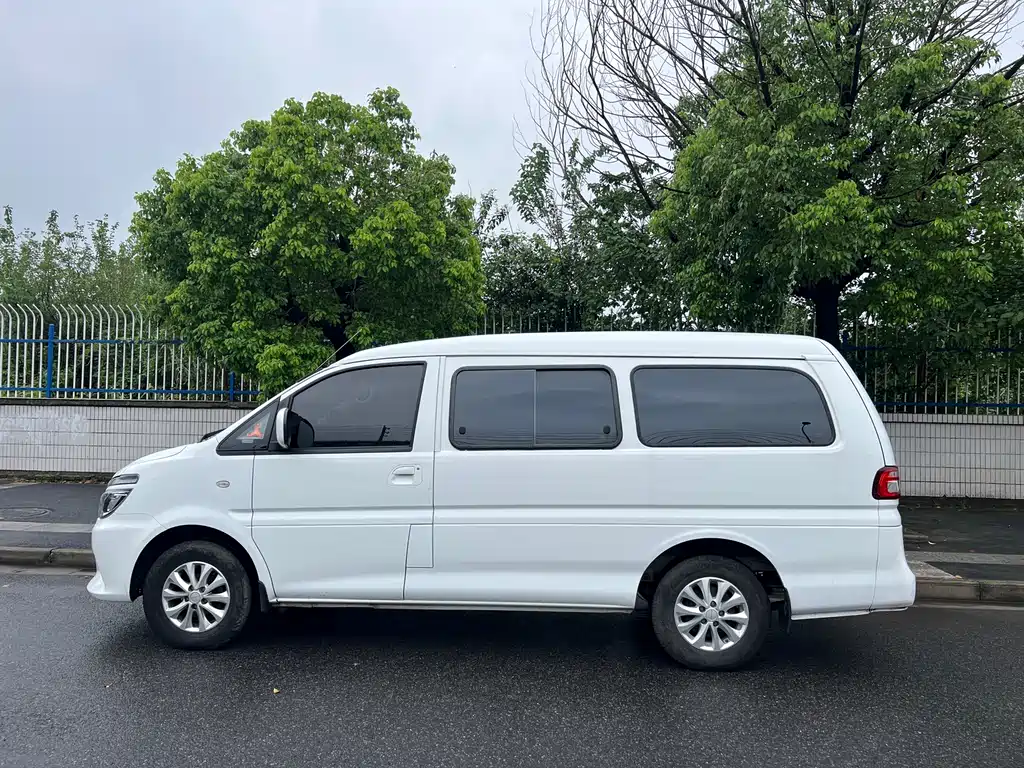 DONGFENG LINGZHI NEW ENERGY