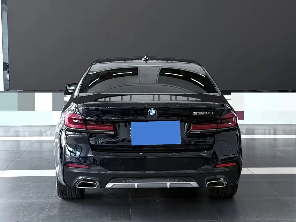 BMW 5 Series — миниатюра 5