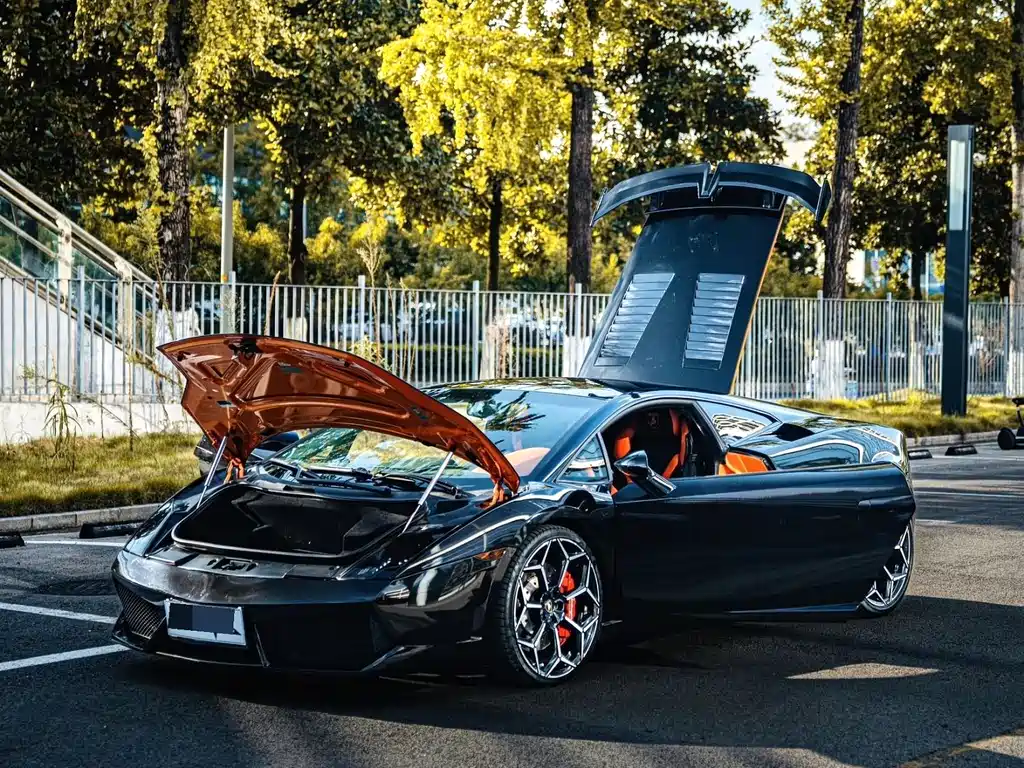 Lamborghini Gallardo — миниатюра 10