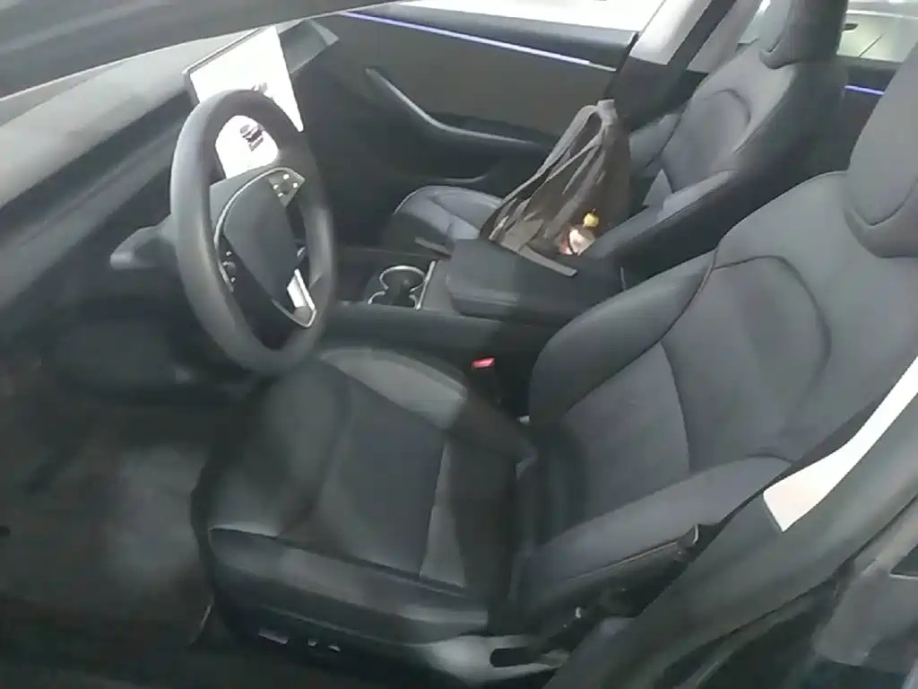 Tesla Model 3 — миниатюра 15