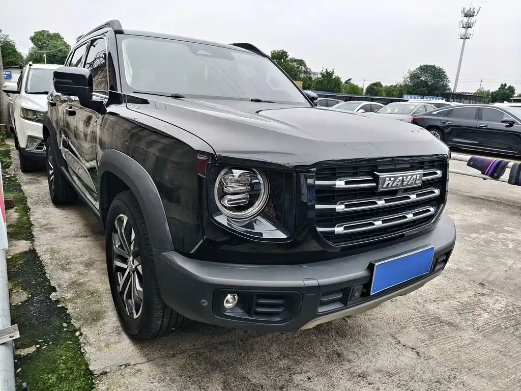 Haval Big Dog — миниатюра 2