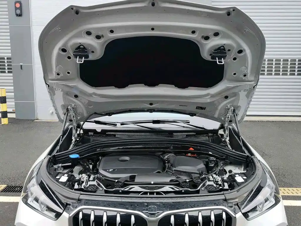 BMW X1 2025 sDrive25Li X