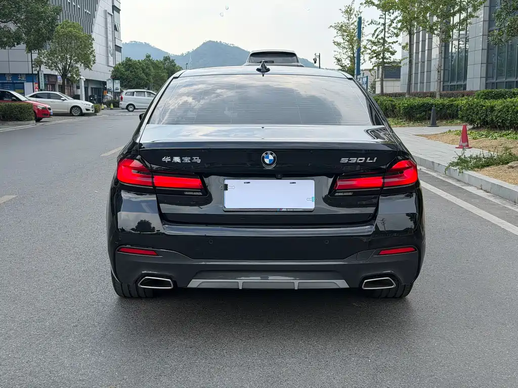 BMW 5 Series — миниатюра 6
